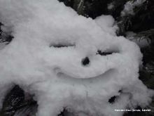 Bild_3_Smilie