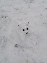 Schneeschwein